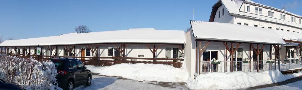 Winter in Hartha (Bundesland Sachsen)