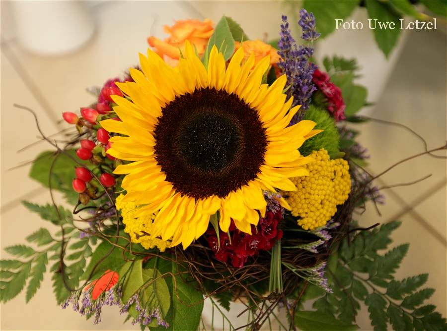 Foto: Sommerblumen (C) Fotograf Uwe Letzel / Leipzig
